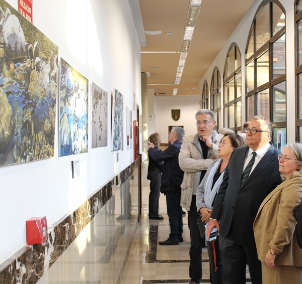 Josep Lluís del Olmo presenta la exposición ‘Luz y Reflejos’